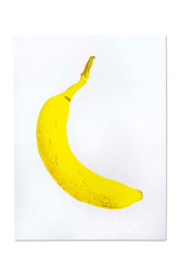 Plakát Donkey Banana