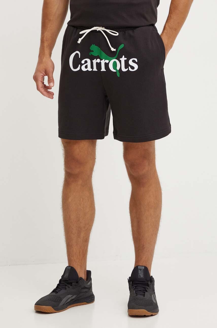 Puma  Kraťasy   X CARROTS Shorts