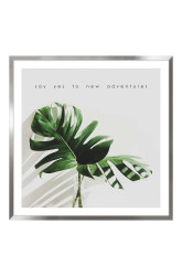 Reprodukce na zarámovaném papíře 50x50 cm