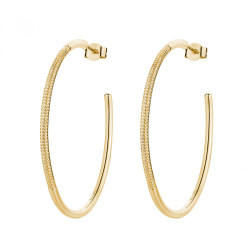 Rosato Kruhové okouzlující náušnice se zirkony Bianca RZBI78