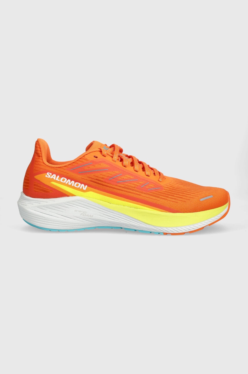 Salomon  Boty  Aero Blaze 2