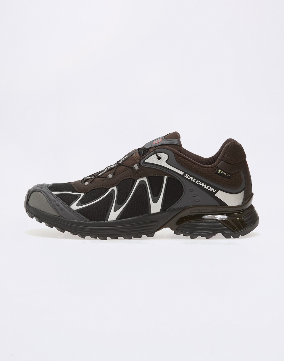 Salomon XT-Whisper Void GTX Delicioso / Asphalt 44 2/3