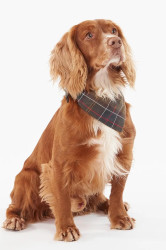 Šátek pro domácí mazlíčky Barbour Tartan Dog
