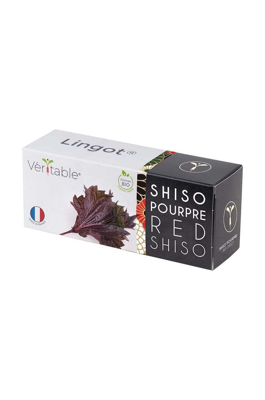 Semenná vložka Veritable Perila červená 13 x 4 x 5 cm