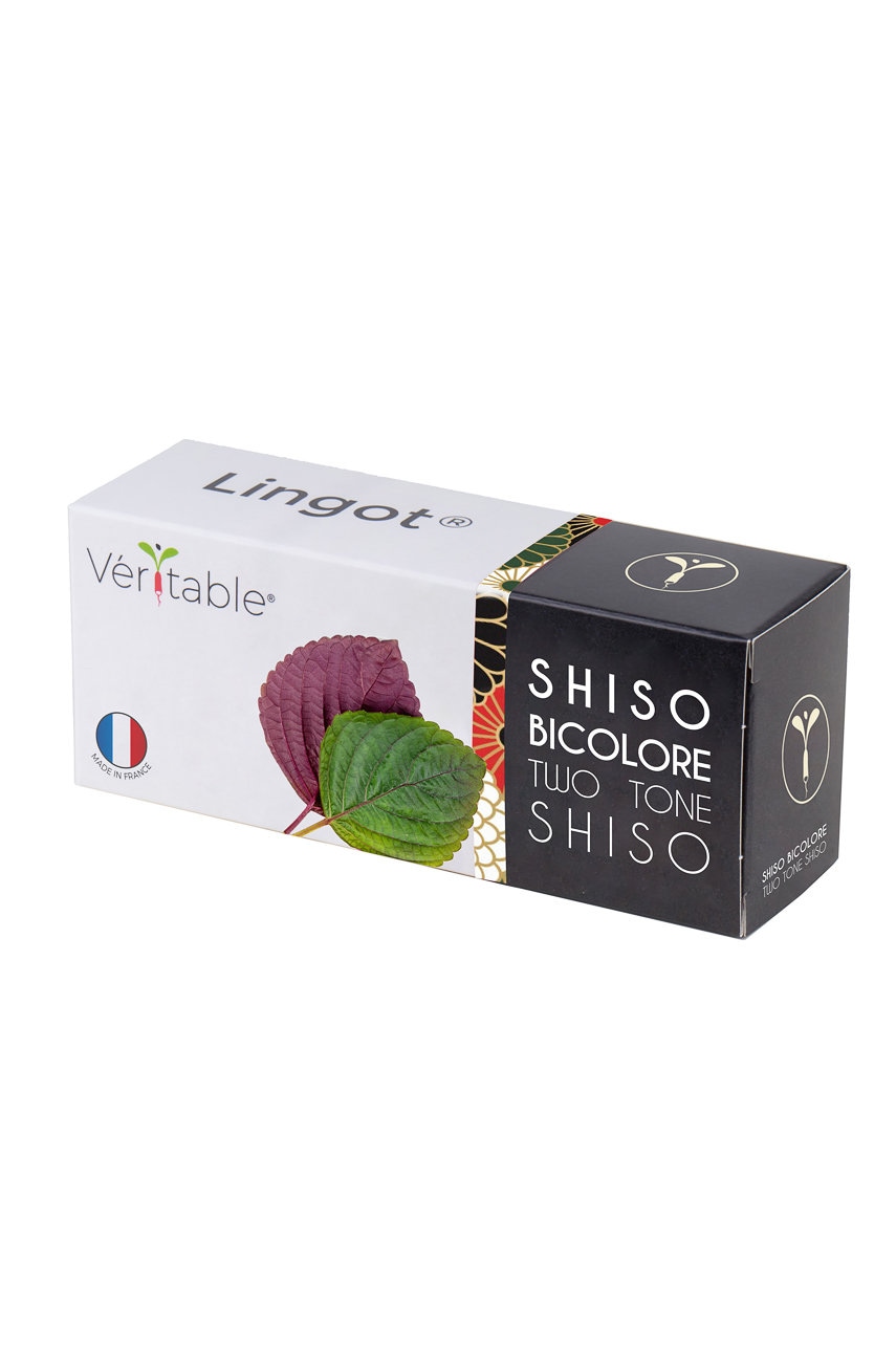 Semenná vložka Veritable Perila křovitá 13 x 4 x 5 cm