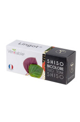 Semenná vložka Veritable Perila křovitá 13 x 4 x 5 cm