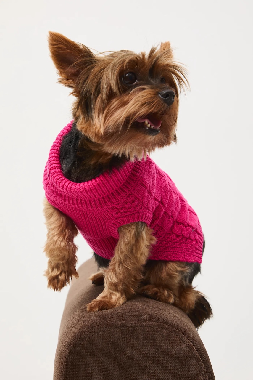 Svetr pro mazlíčka Medicine