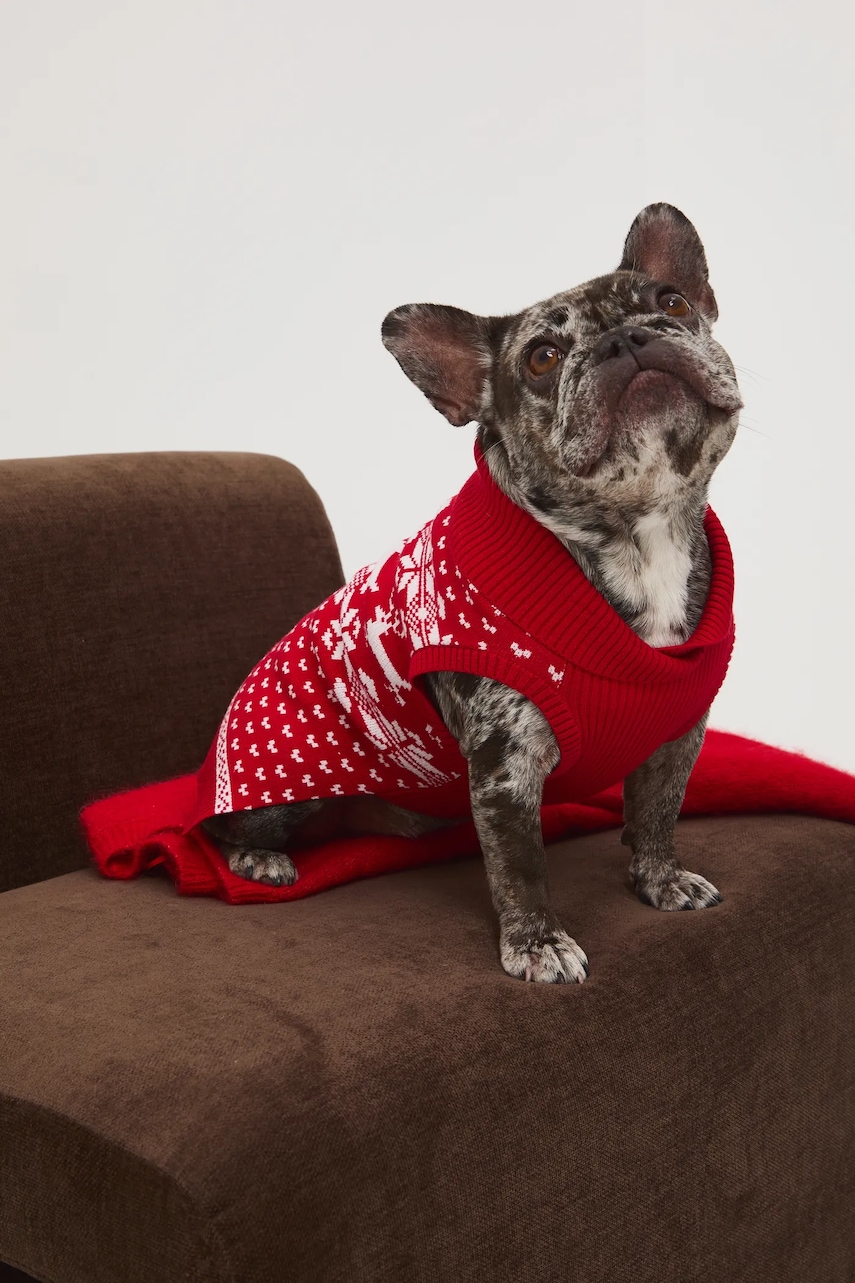 Svetr pro mazlíčka Medicine