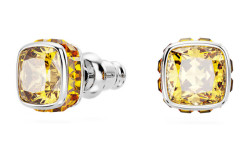 Swarovski Třpytivé náušnice pro ženy narozené v listopadu Birthstone 5660802
