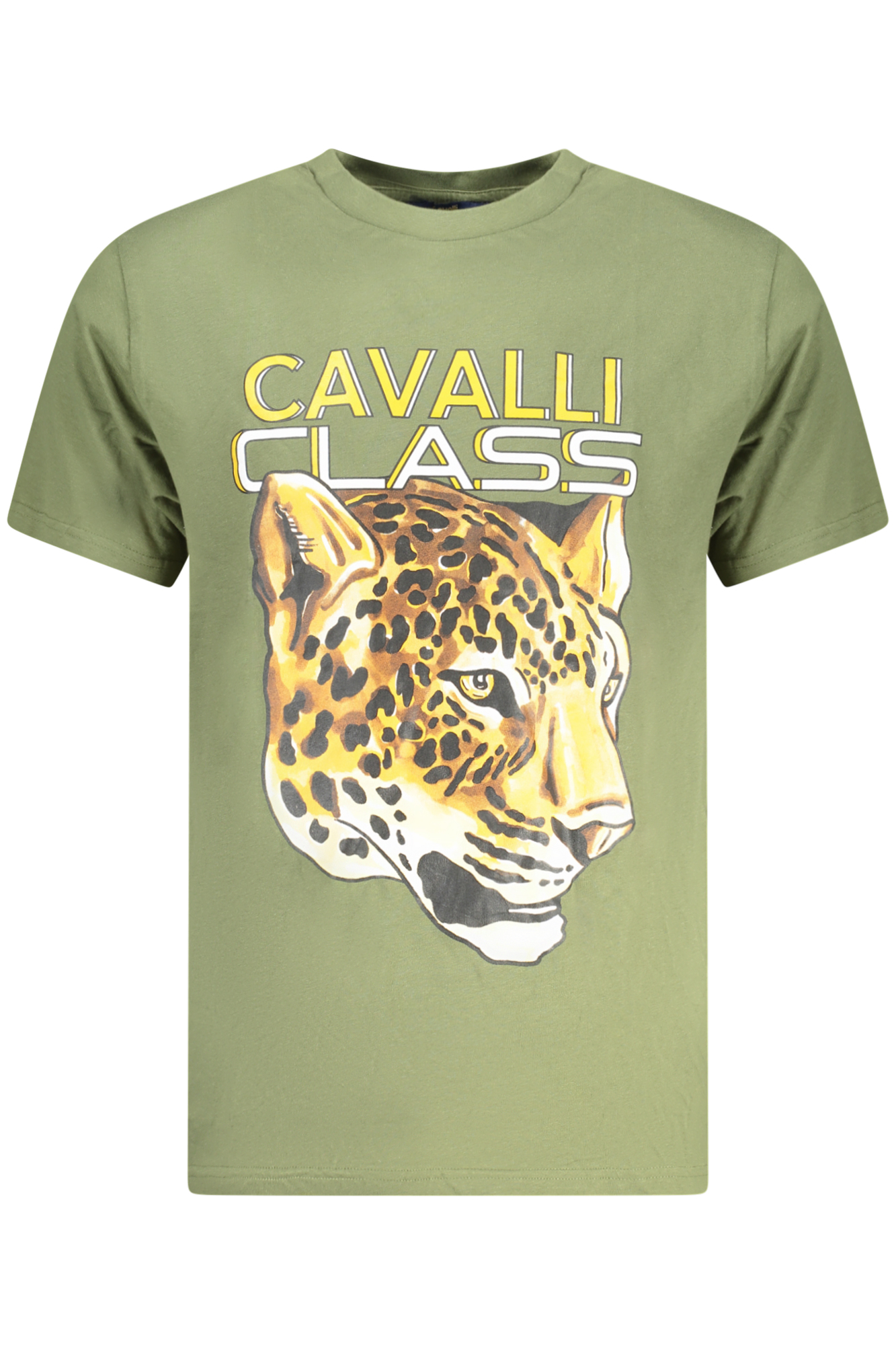 T-shirt s krátkým rukávem zelená