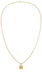 Tommy Hilfiger Minimalistický pozlacený náhrdelník pro muže 2790544