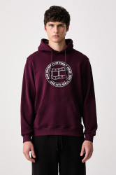 Tommy Jeans  mikina s kapucí pánská bavlněná