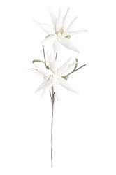 Umělá květina Bizzotto White Aloe Chinesis
