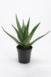 Umělá rostlina v květináči home & lifestyle 38 cm