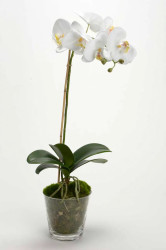 Umělá rostlina v květináči home & lifestyle 63.5 cm