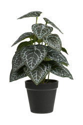 Umělá rostlina v květináči House Nordic 33 cm