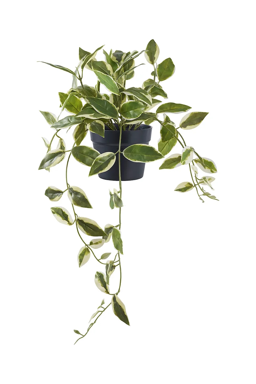 Umělá rostlina v květináči House Nordic Hoya