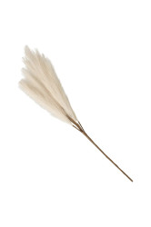 Umělá větvička Boltze Palmyra 25 cm