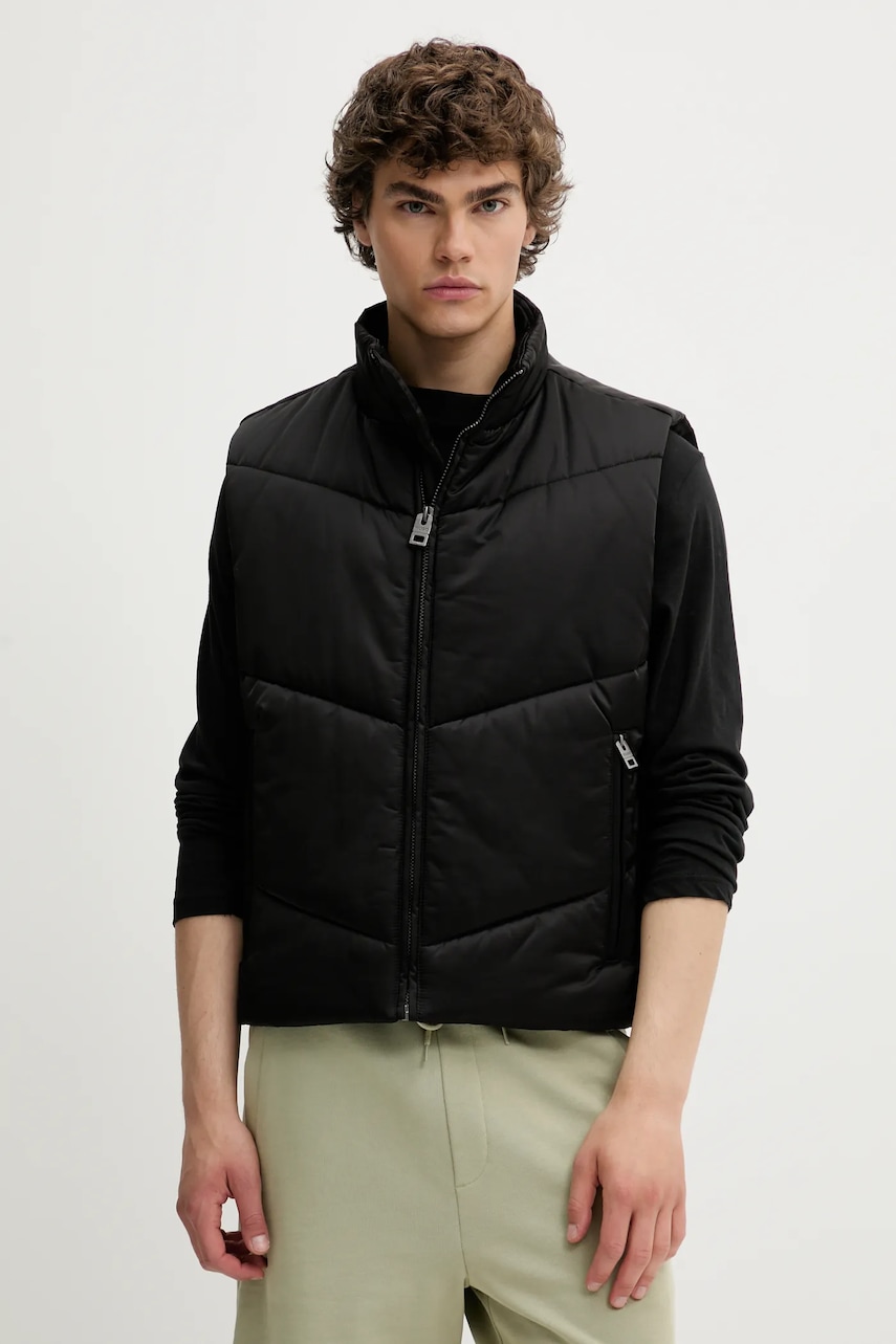 Vesta HUGO Berolino2531