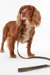 Vodítko pro psa Barbour Reflective Tartan Dog 100 cm