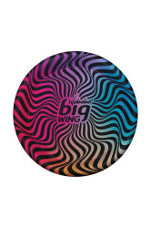 Waboba  Frisbee  Bigwing