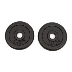 Worqout Závaží 2.5Kg Iron Weight Plates x 2 pc - unisex