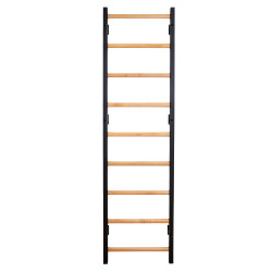 Žebřiny BenchK 700B 240x67 cm